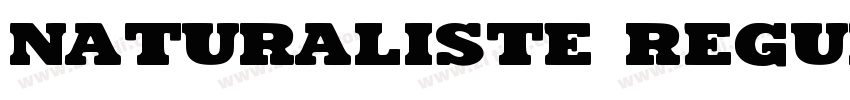 Naturaliste Regular字体转换